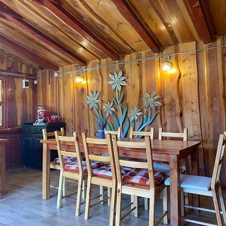 Pensiunea Cold Mountains Rîşnov Ngoại thất bức ảnh